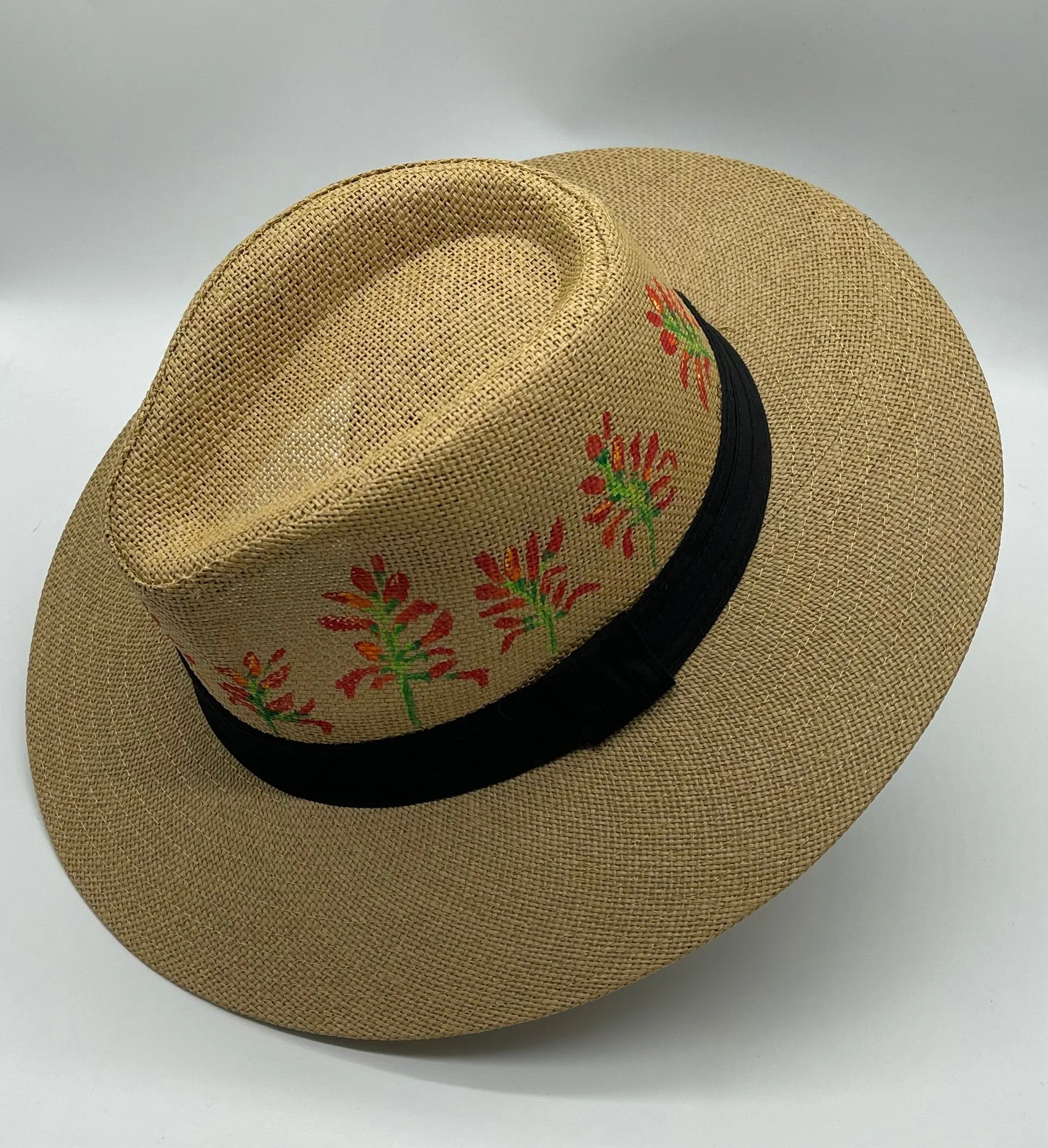 Hand painted hats